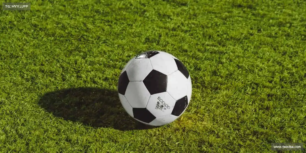 j9真人游戏第一平台——滑板少年,用轮子画出自由!